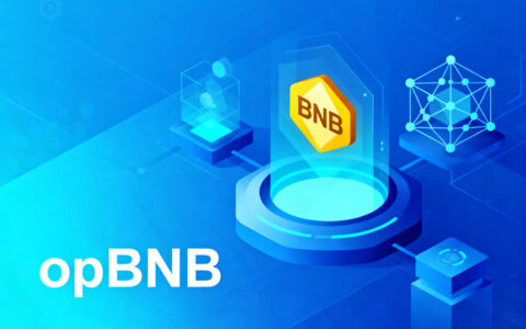 在opBNB发行代币的方案和实操教程