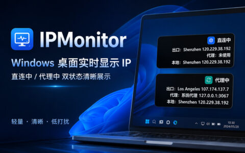 IPMonitor Windows桌面右上角实时显示IP的轻量网络状态查看工具