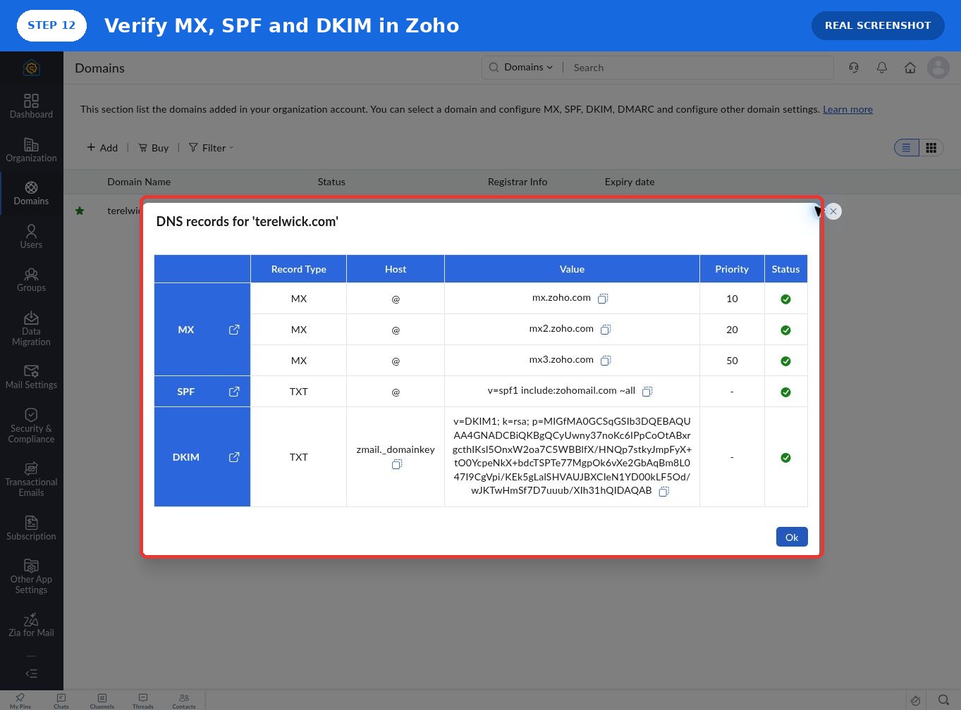 Zoho Mail 显示 MX SPF DKIM 全部验证通过